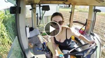 GIRL ON TRACTOR | Giulia and Fendt Favorit 920 | Sorghum Silage