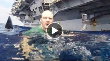 What Happen When Sharks Swim Too Close to US Aircraft Carrier and Ships