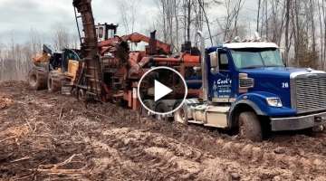 Truck stuck in mud!!! Tractor pulls the truck stuck off-road!!!