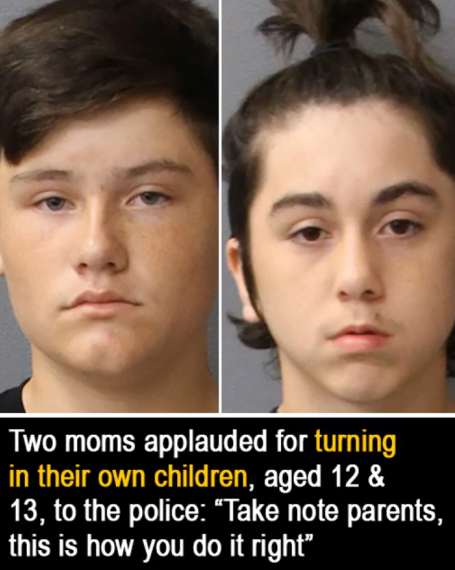 Florida Parents Report Sons After $50K Damage to School Library