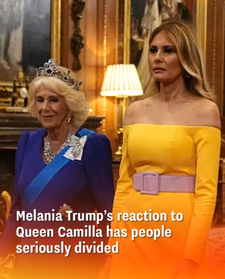 Melania Trump and Queen Camilla Share Notable Moment at State Banquet, Prompting Online Discussion