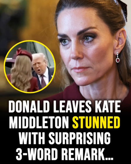 Donald Trump’s Three-Word Comment to Princess Catherine Sparks Online Buzz at Royal Welcome