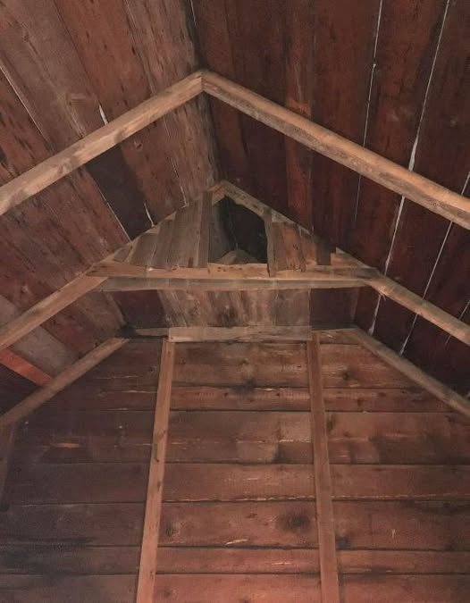 Barn Owl Nest Boxes: A Time-Tested Approach to Natural Balance