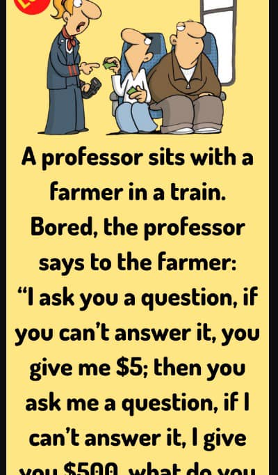 A Train Ride Lesson in Curiosity and Calm Humor