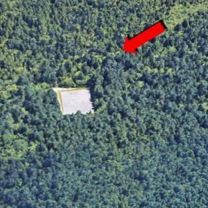 A Quiet Act of Love Hidden in the Landscape