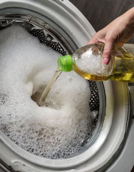How a Simple Bottle of Vinegar Can Refresh Your Laundry Naturally