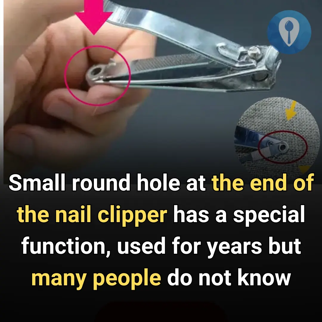 The Hidden Purpose Behind That Tiny Hole on Your Nail Clipper