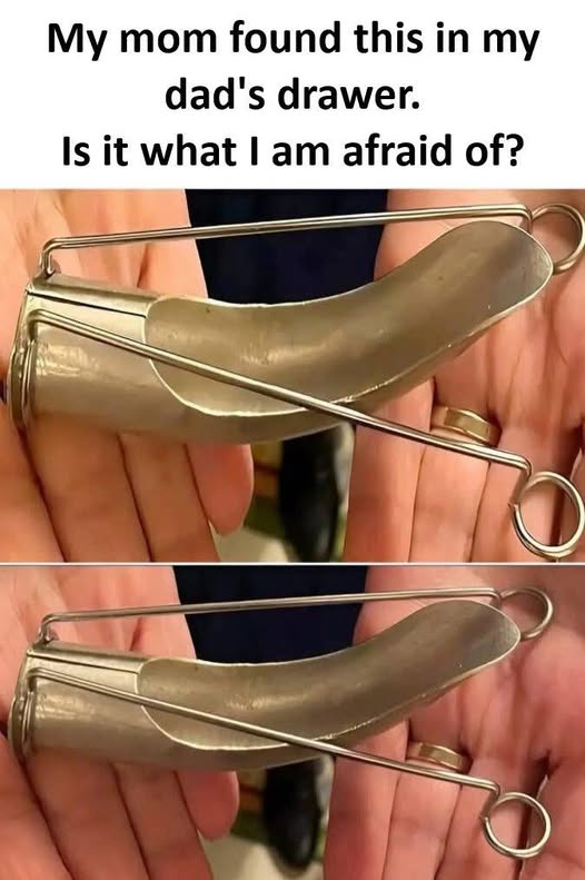 A Clever Citrus Add-On from a Classic Kitchen Era