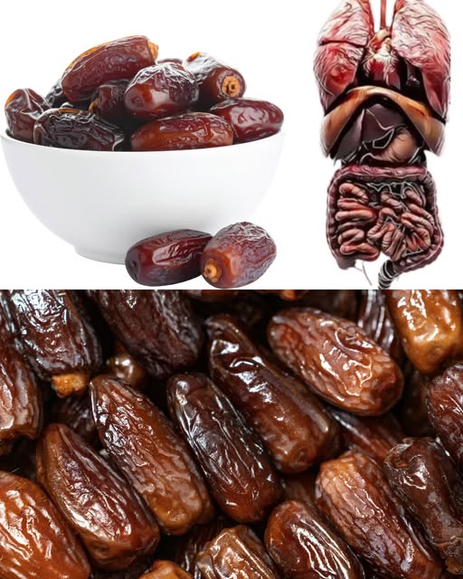 What Happens When You Eat Three Dates a Day? A Simple Habit with Meaningful Benefits