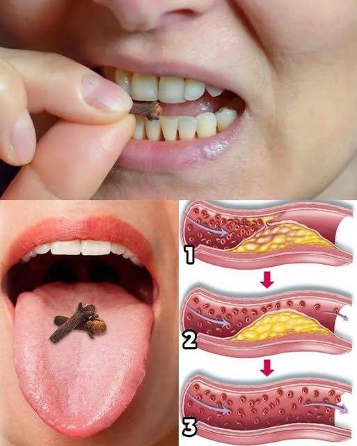 Cloves: A Timeless Spice with Flavor and Functional Benefits