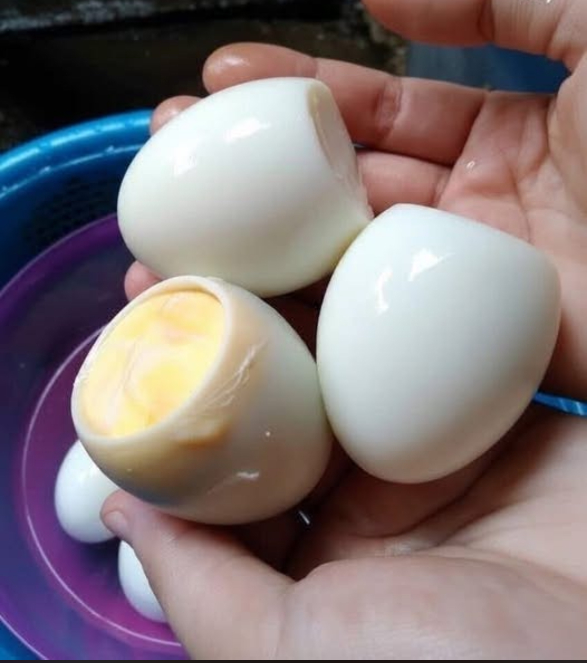 Boiled or Fried Eggs? Choosing the Right Start to Your Day