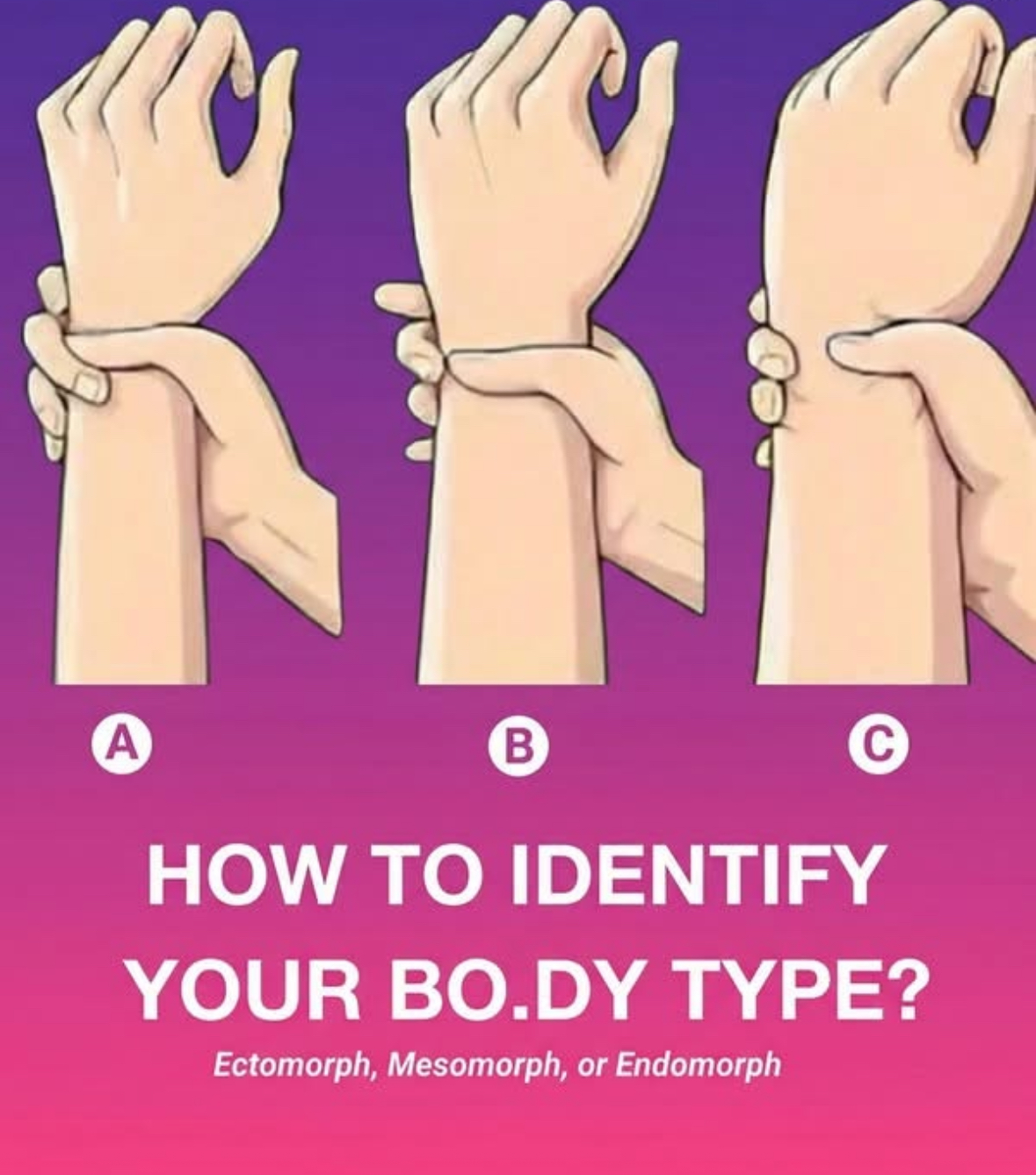 Ectomorph, Mesomorph, or Endomorph? A Practical Guide to Working With Your Body Type