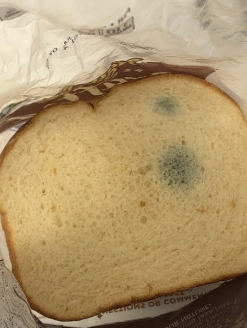 Green Spots on Bread? Why Food Safety Experts Say to Toss the Loaf
