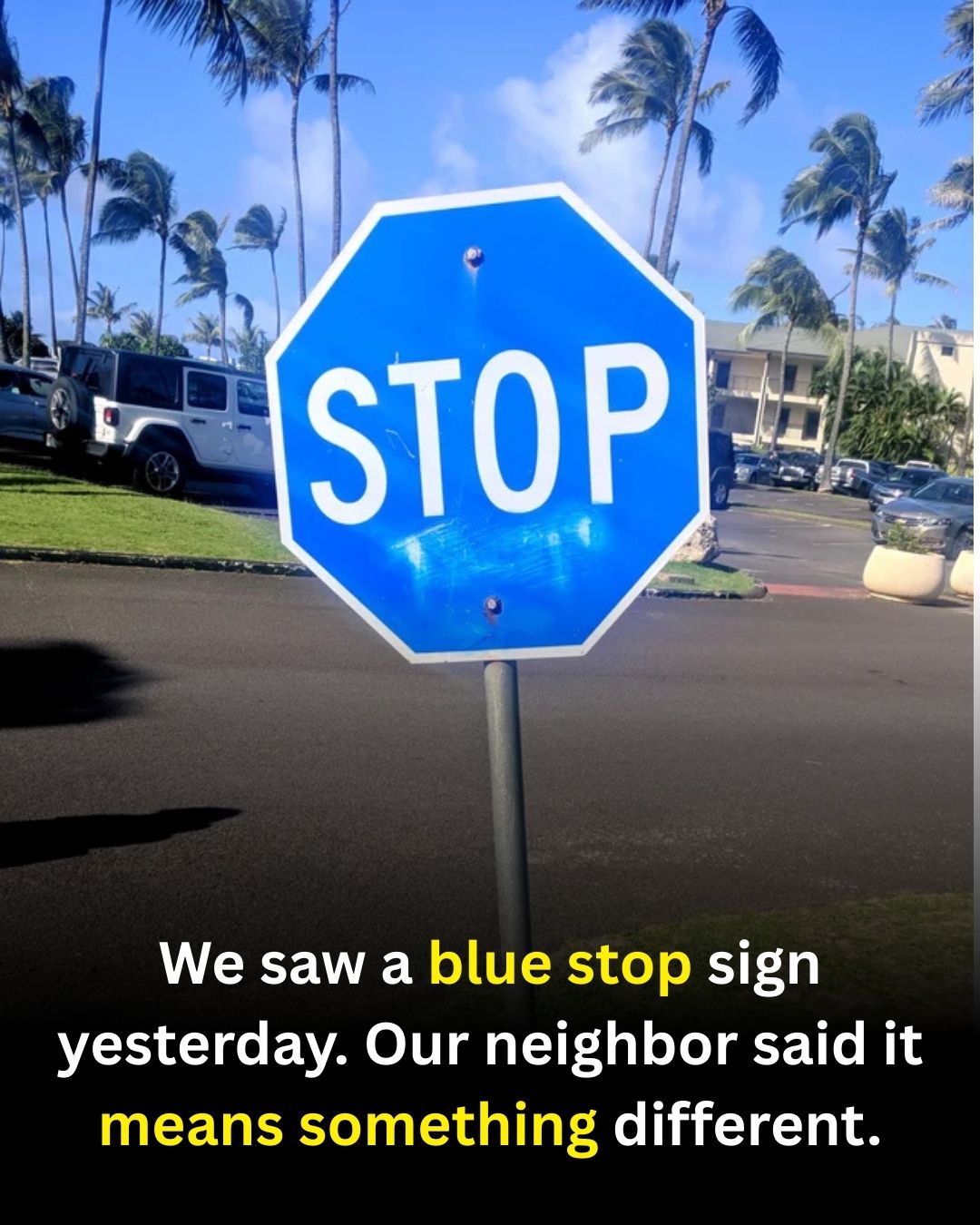 Why a Blue Stop Sign Exists—and How to Respond When You See One