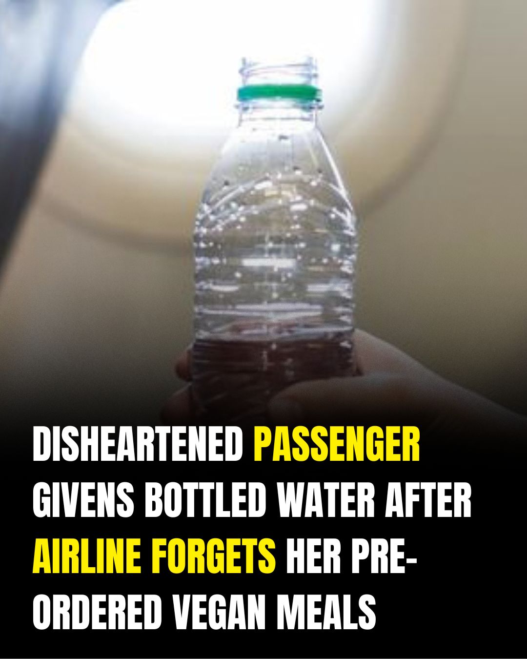 How to Prepare for Special Meal Requests on Long Flights