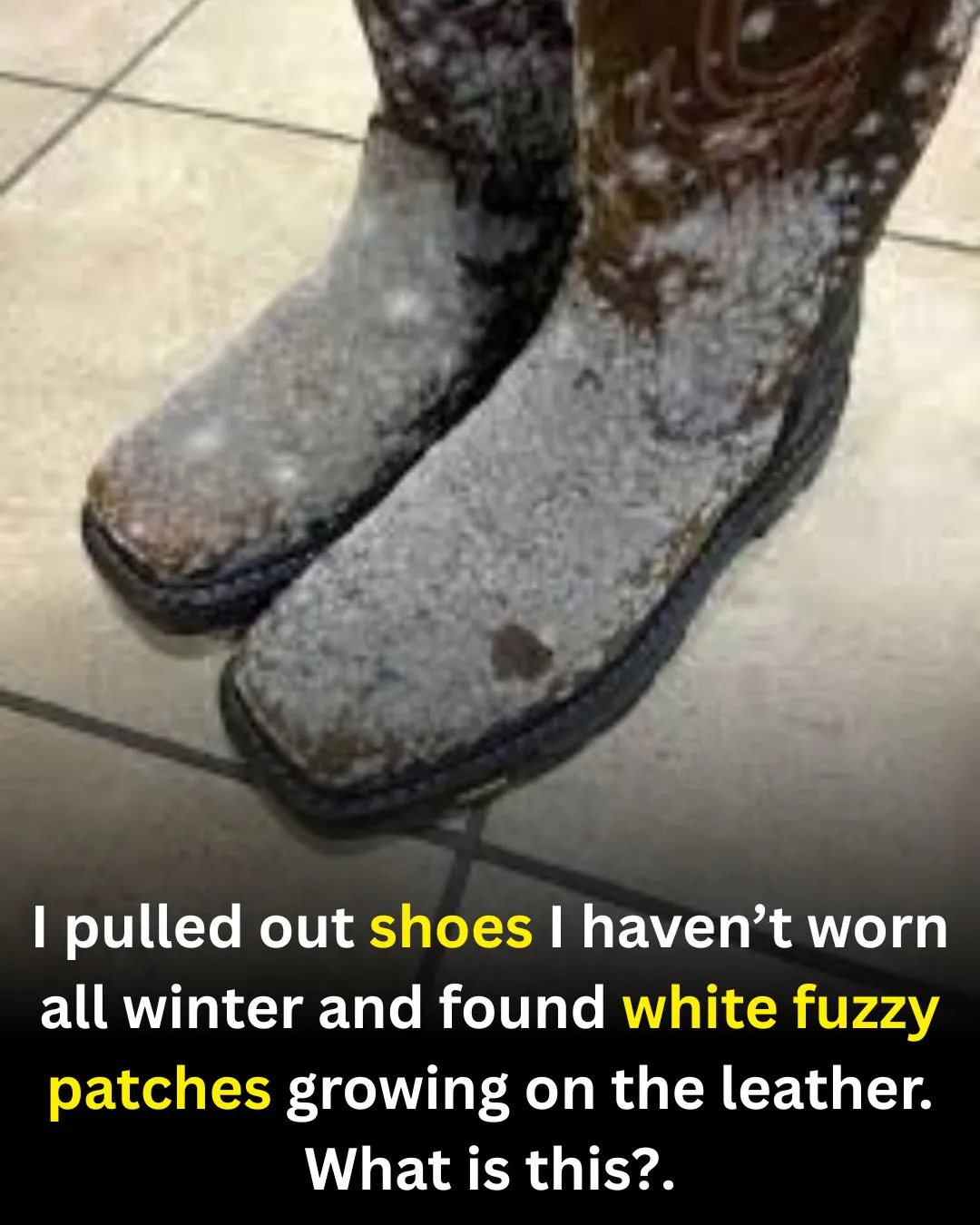 Why White Fuzzy Spots Appear on Stored Leather Shoes—and How to Deal With Them Safely