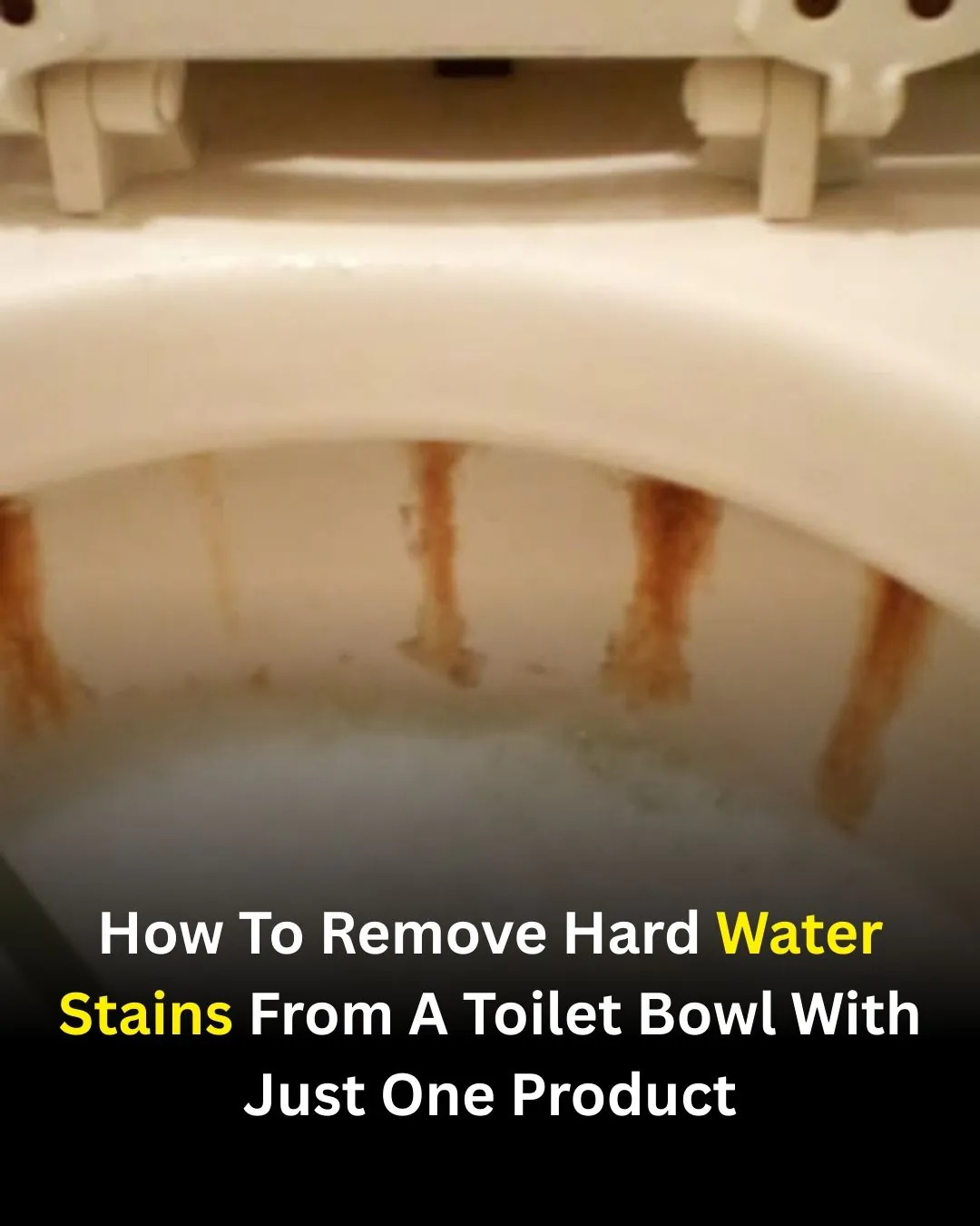 A Simple Vinegar Routine for a Cleaner, Fresher Toilet