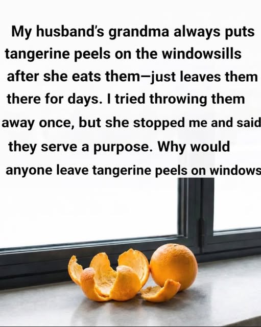 Tangerine Peels at Home: A Simple Way to Add Freshness and Reduce Waste