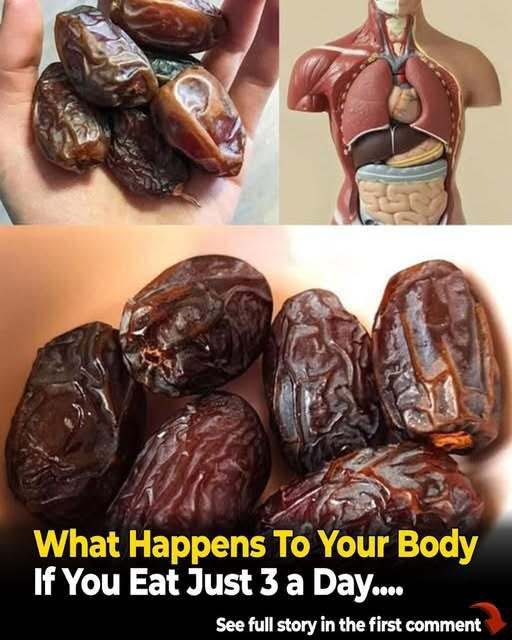 Three Dates a Day: A Naturally Sweet Habit for Everyday Wellness