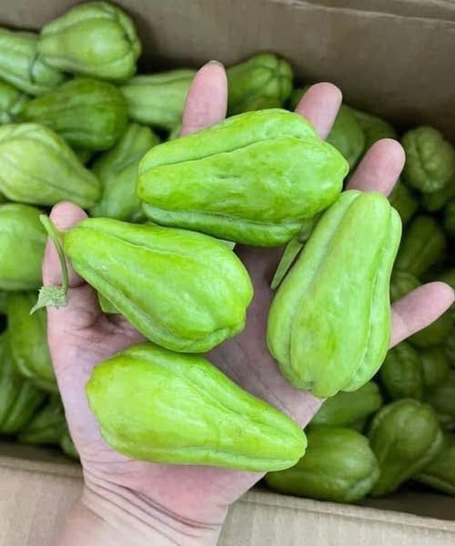 Chayote and Blood Sugar Balance: A Gentle Vegetable With Everyday Benefits