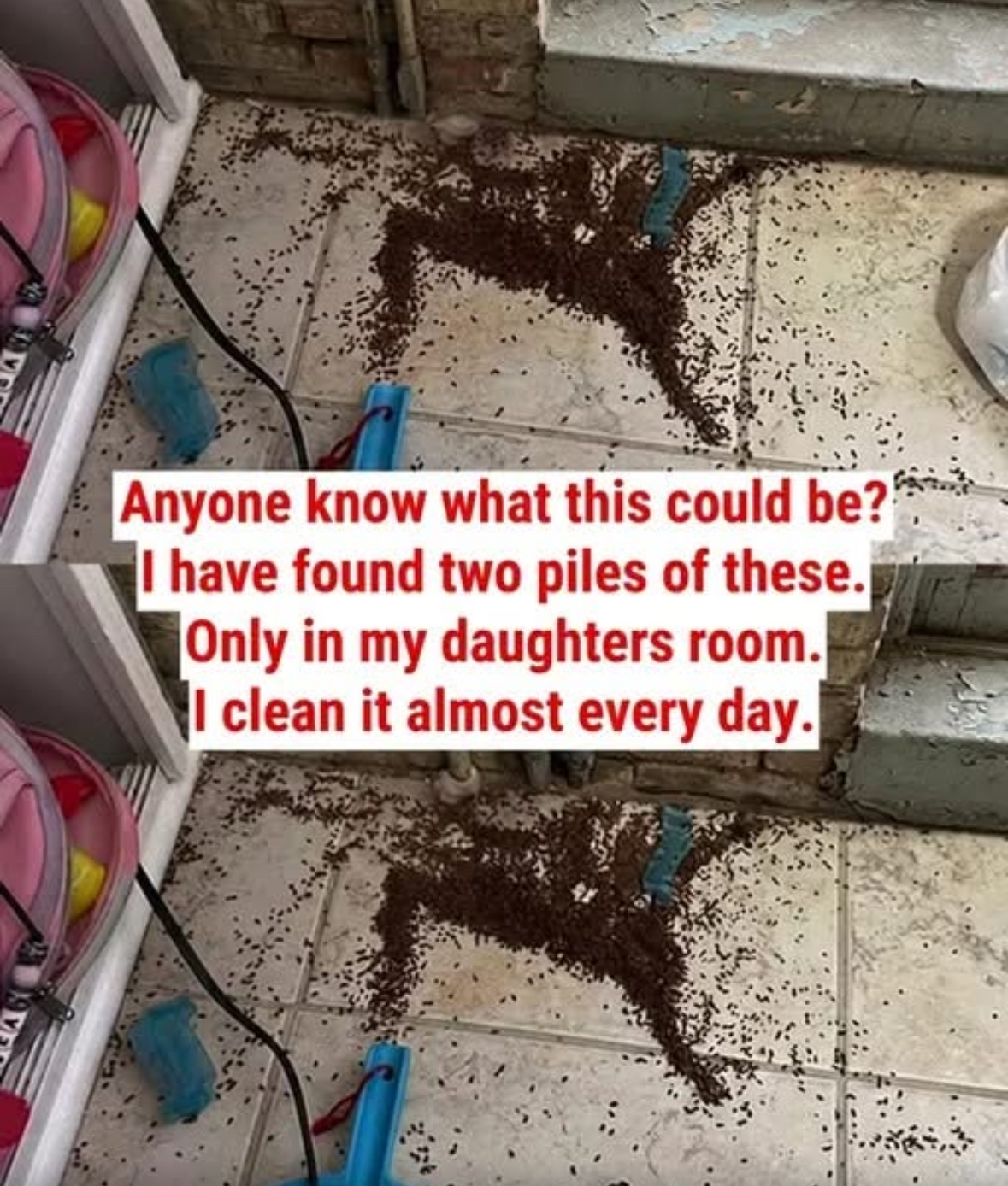 A Small Household Mystery That Turned Out to Have a Simple Explanation