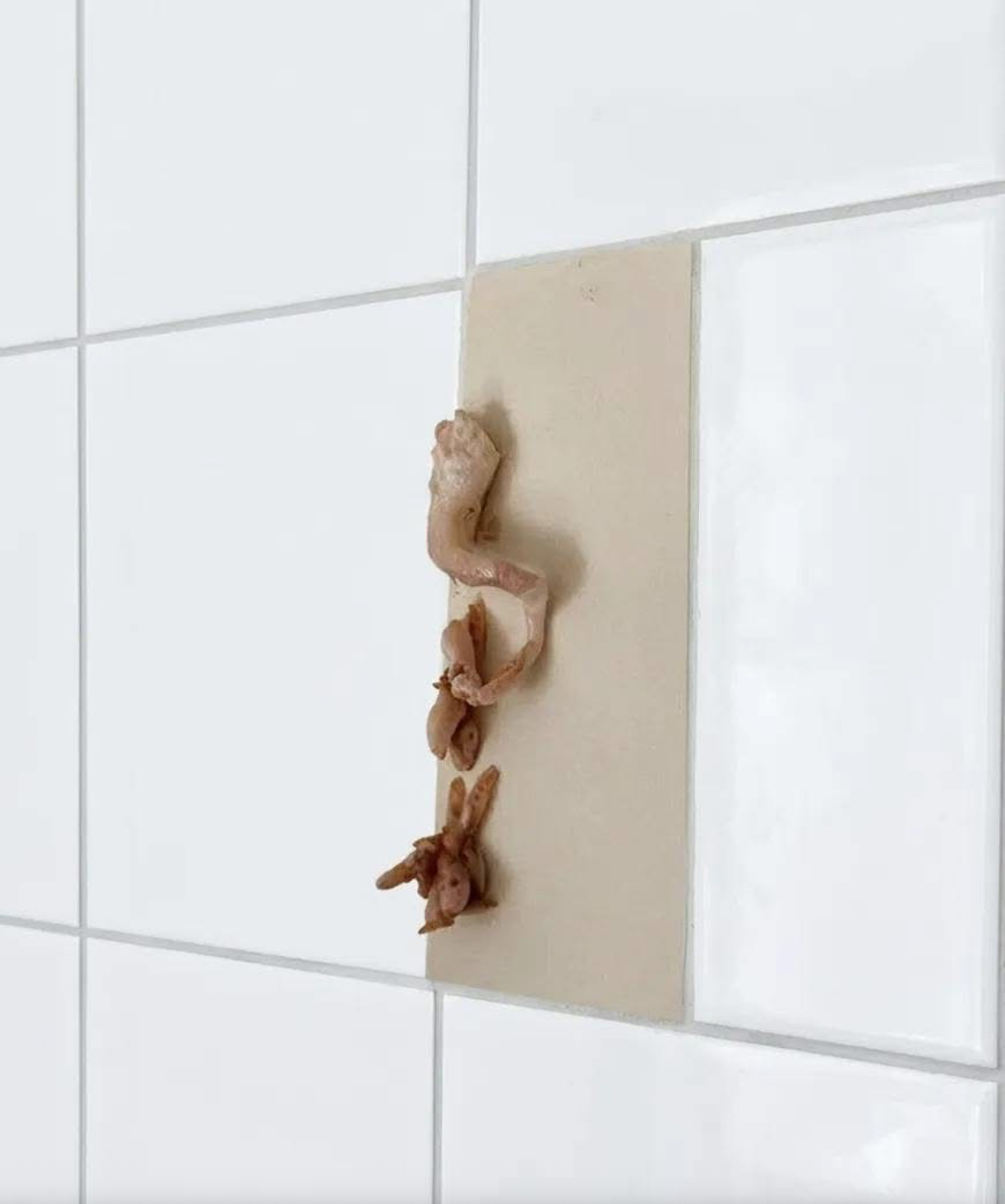 The Small Changes at Home That Make Us Look Twice