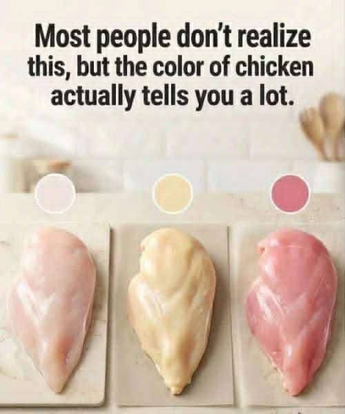 Chicken Color Explained: A Practical Guide to Choosing Better Quality Meat