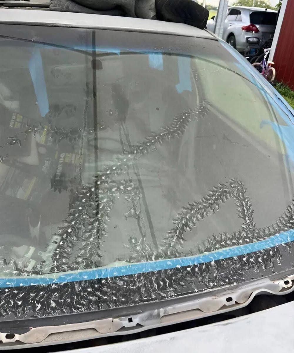 Tiny Visitors in the Night: The Mystery of the Marks on My Windshield