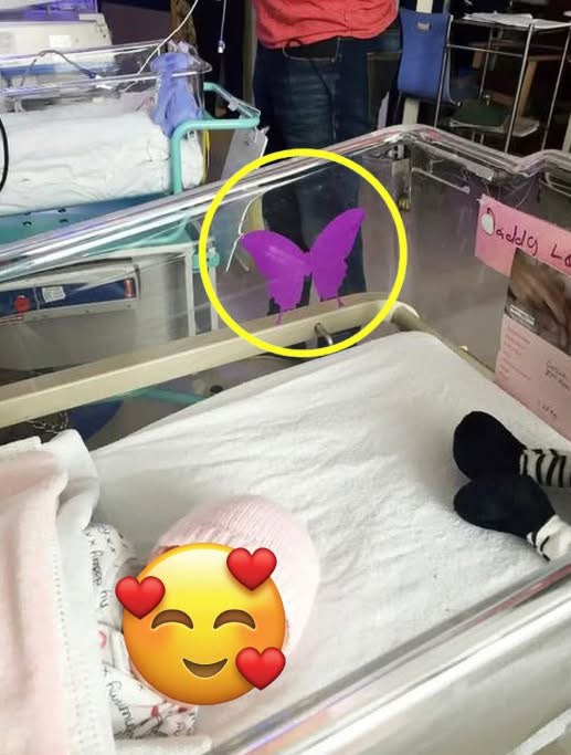 The Purple Butterfly: A Gentle Symbol of Remembrance in Hospitals