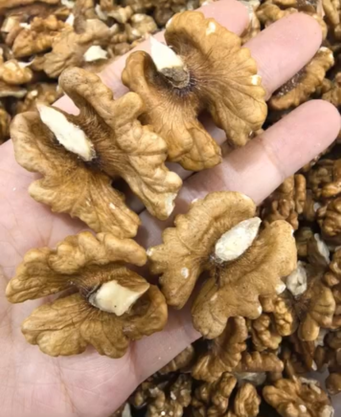 Walnuts in Your Daily Routine: A Simple Habit for Balanced Nutrition