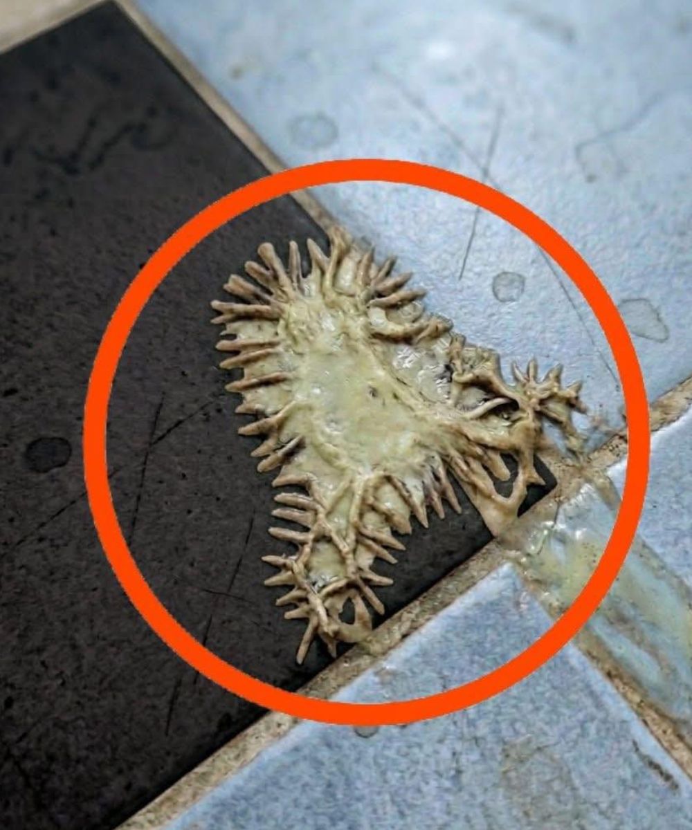 A Small Discovery That Changed the Moment