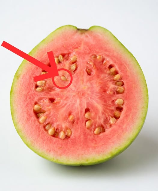 Guava Leaf Tea: A Gentle, Natural Addition to Everyday Wellnes