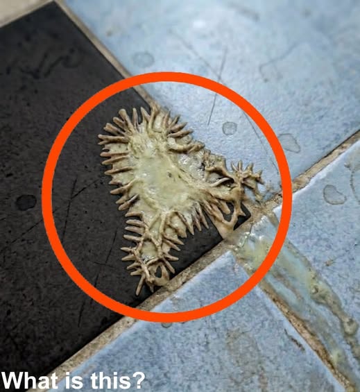 An Unexpected Bathroom Surprise: Staying Calm and Finding Simple Answers