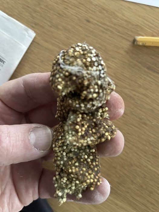 A Small Discovery, A Big Memory: How Everyday Moments Reconnect Us with Simple Joy