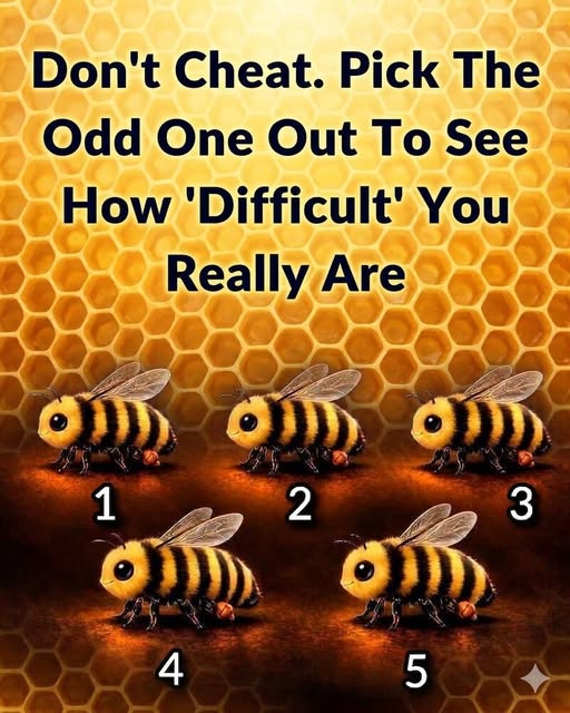 What You Notice First Reveals Your Viewing Style