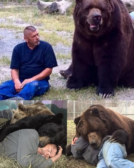 A Sanctuary Built on Care: The Story of Jimmy the Bear