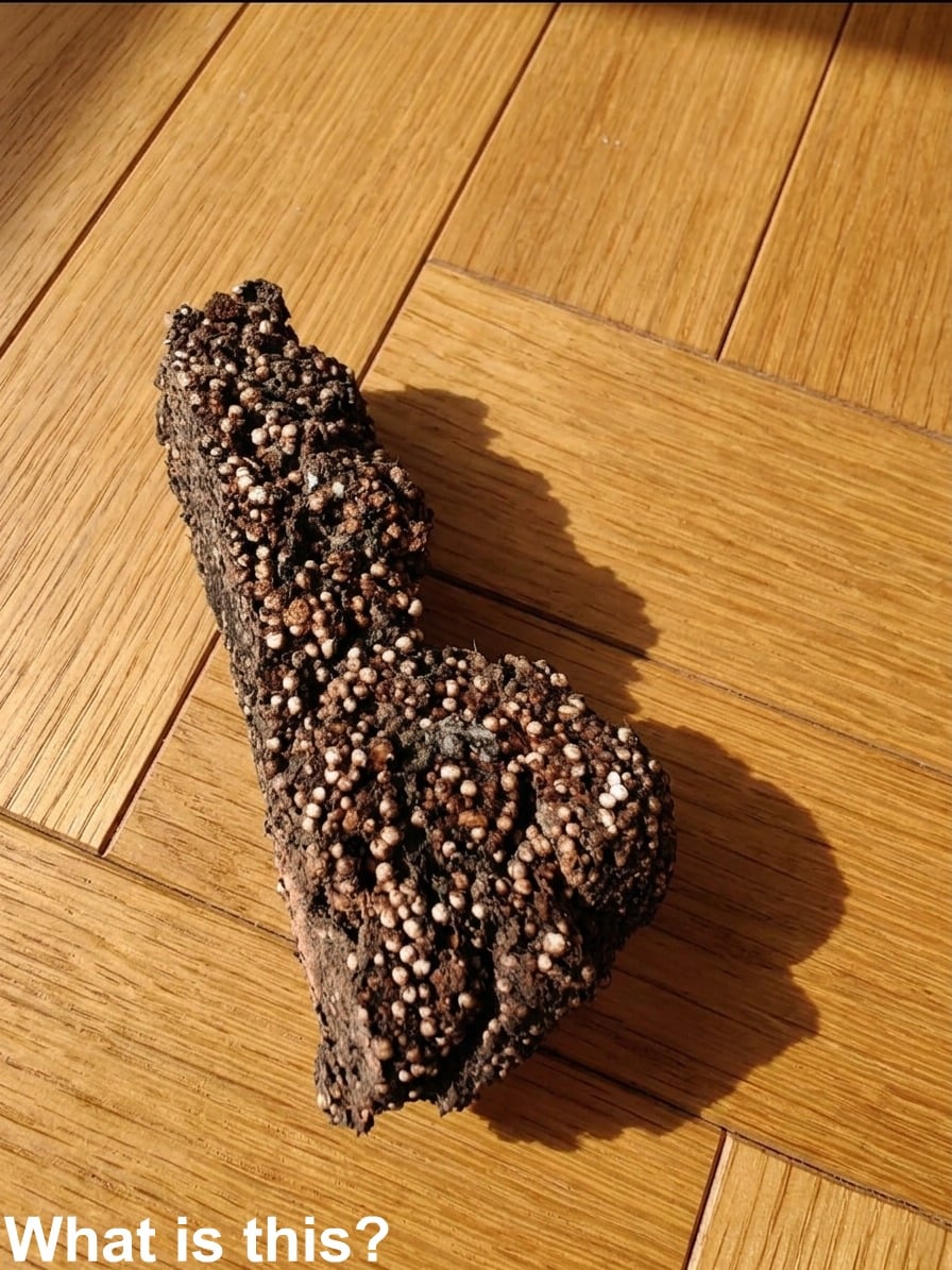 Unfamiliar Finds in a Child’s Room: How to Identify and Handle Them Calmly