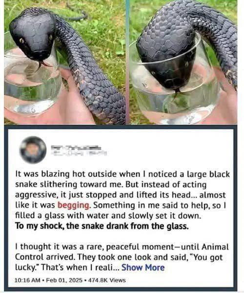 A Quiet Encounter by the Water: Learning to Respect Nature’s Signals