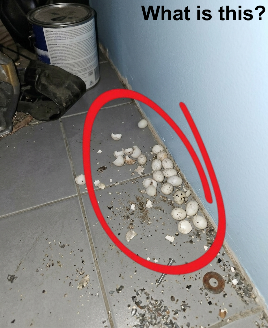 A Small Discovery That Changes How You See Your Space