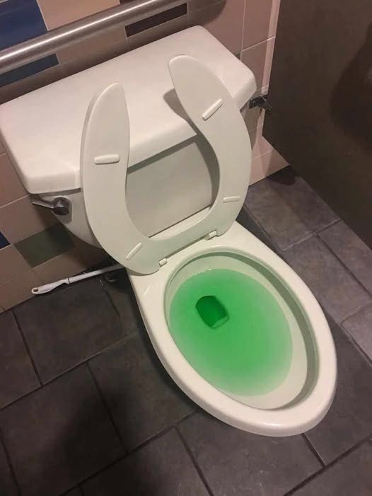 A Simple Way to Handle Minor Toilet Clogs Without Stress