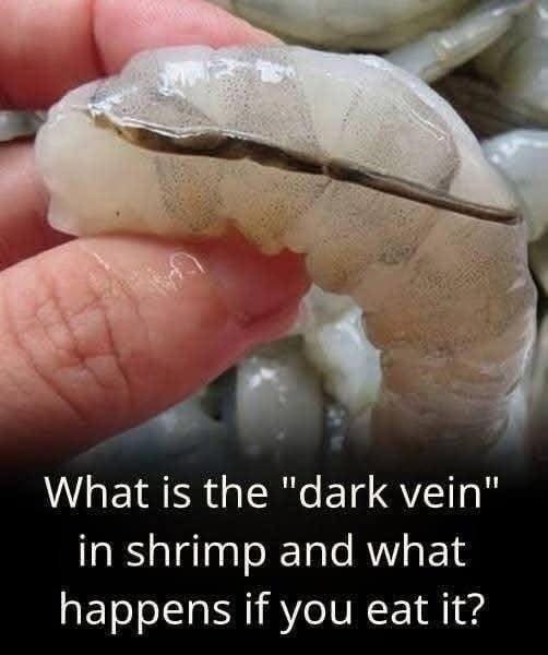 Shrimp Prep Made Simple: Understanding the “Vein” and When to Remove It
