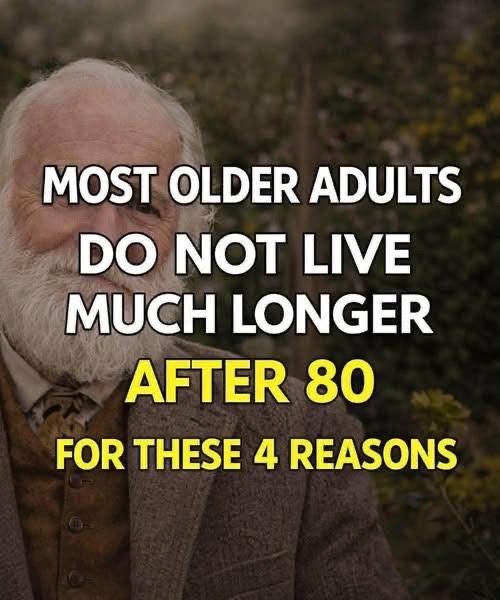 Living Well After 80: Simple Habits That Add Meaning to Every Day