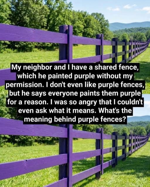 The Meaning Behind a Purple Fence: A Practical Guide to an Unusual Sign