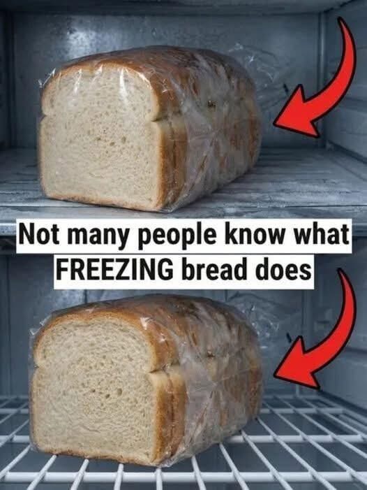 Freezing Bread the Smart Way: Preserving Freshness, Flavor, and Everyday Convenience