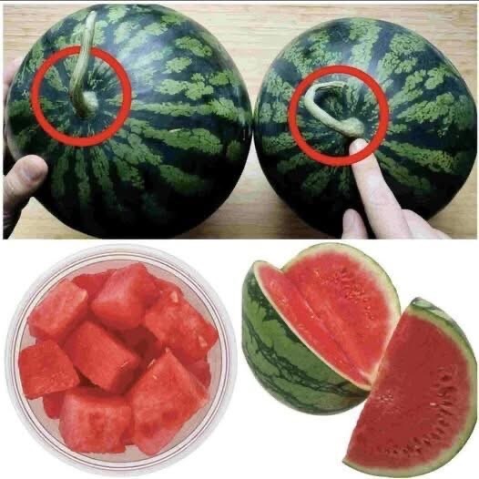How to Choose a Sweet Watermelon Every Time