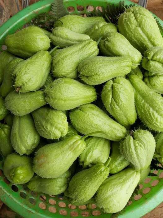 Chayote and Blood Sugar Balance: A Simple Addition to a Smart Eating Plan