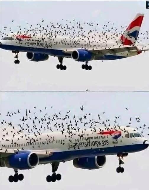 A Routine Flight Turned Into an Unexpected Test of Teamwork and Precision