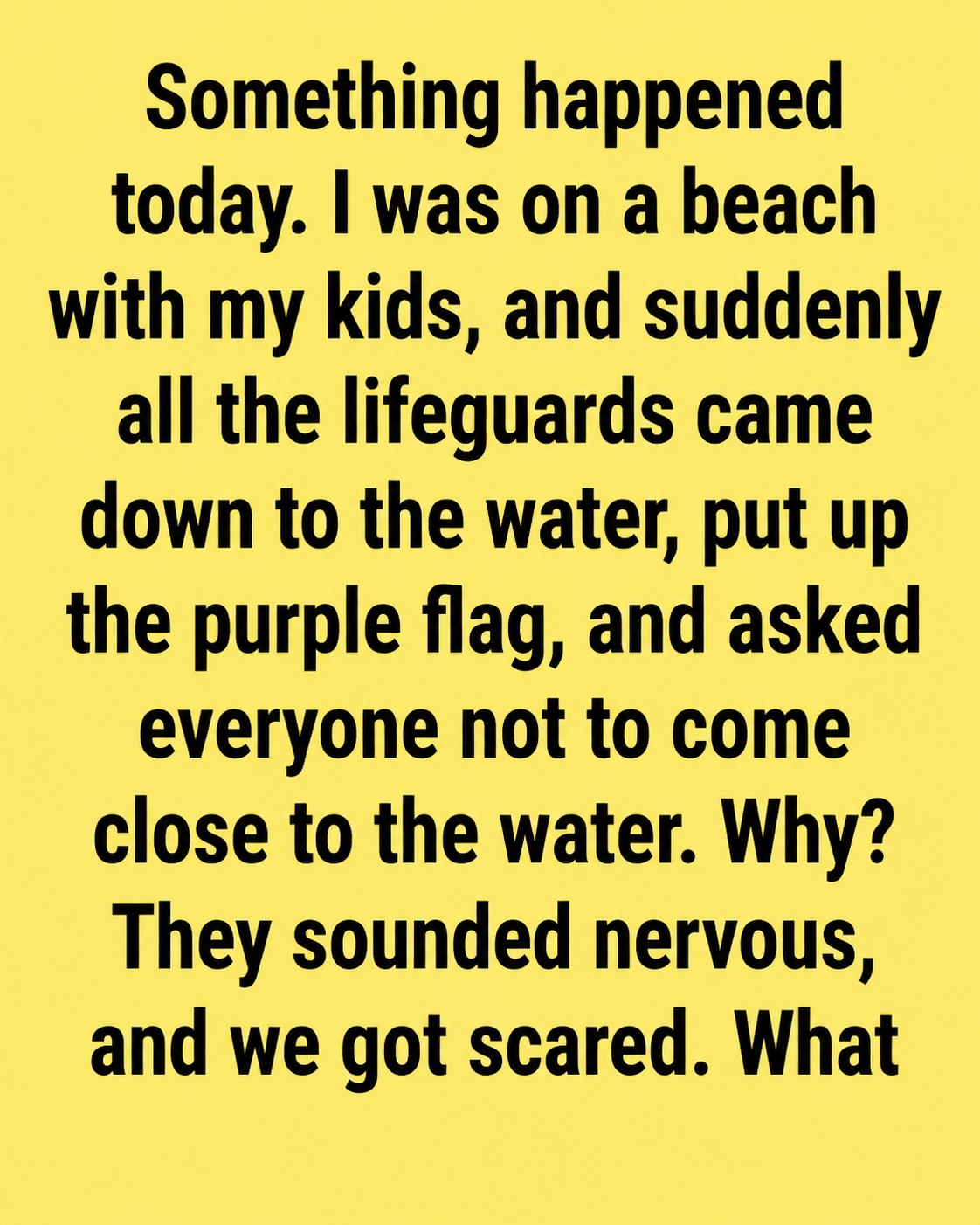 What a Purple Beach Flag Really Means for Visitors