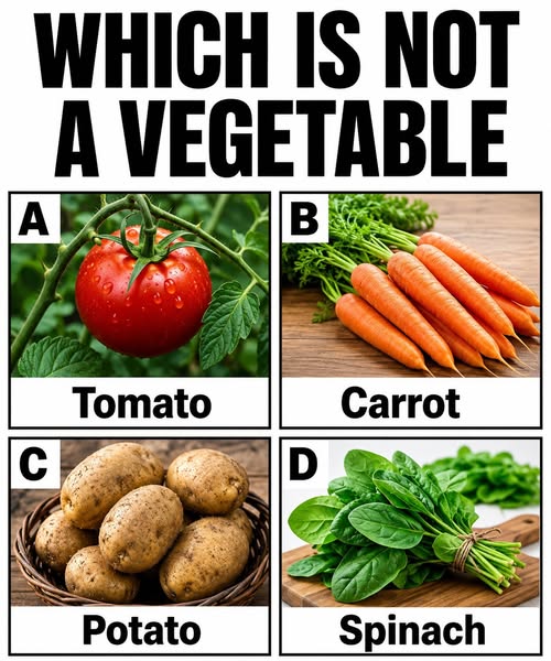 The Food Classification Puzzle That Challenges Common Assumptions