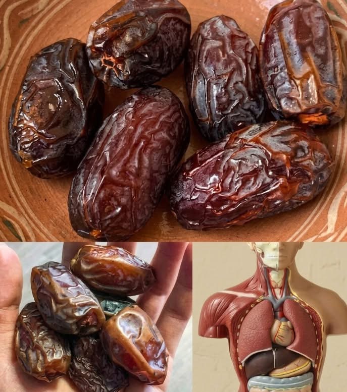 Why Dates Remain One of the Most Popular Natural Energy Foods